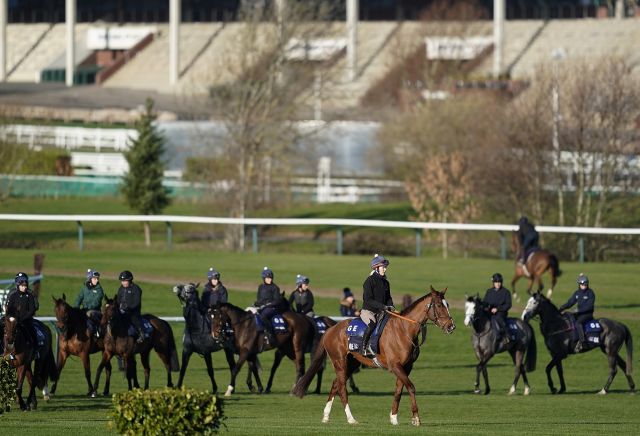 25/1 shot second most backed horse in the Supreme Novices' Hurdle