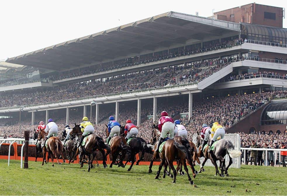 Money Horse: Friday's Most Backed Horse