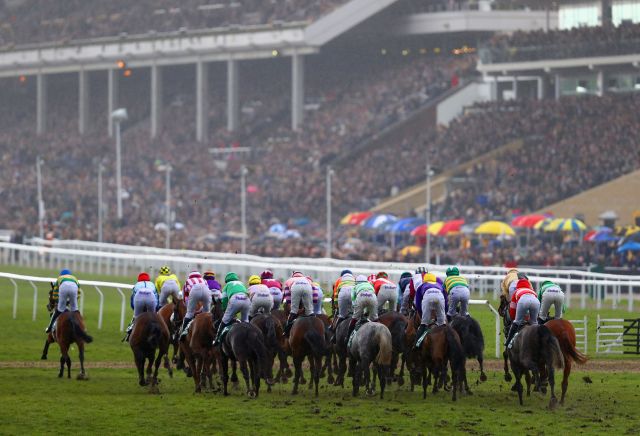 What horse racing is on today? Equine Influenza cancels UK meetings