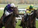 Thyme Hill cut for novice hurdles at Cheltenham Festival after November Meeting success