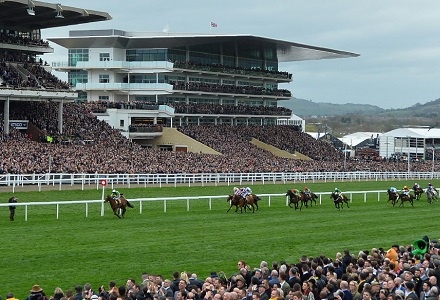 Punters wary of Cheltenham ante-post betting this year despite greater interest in Festival