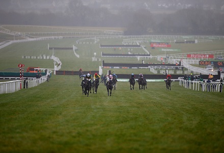 Tuesday's Cheltenham Market Movers
