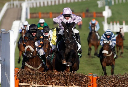 Nick Luck: Mill a tasty Cheltenham bet
