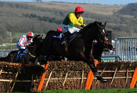 The best bookmaker offers for Cheltenham