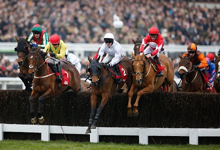 Horse Racing Tips: Cheltenham