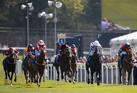 UK Horse Racing Tips: Chester