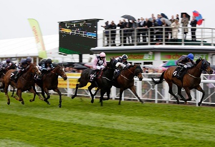 A View From The Rails: Muntahaa can put smile on Gosden's face