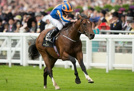 A View From The Rails: Churchill a Guineas banker