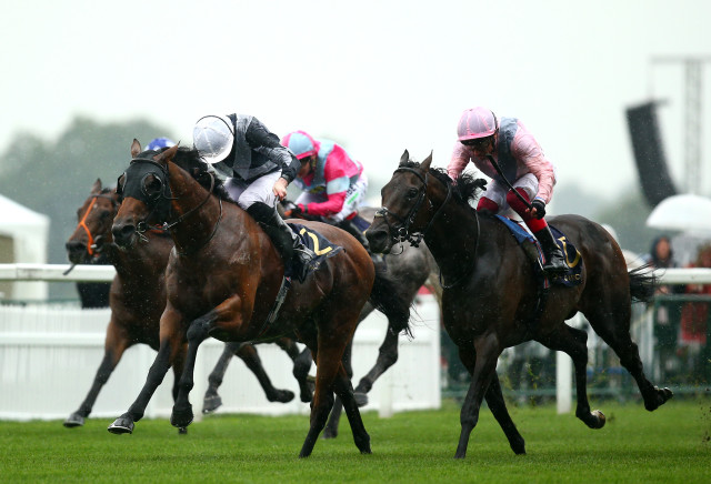 Royal Ascot Tips: Day One Stats and Trends