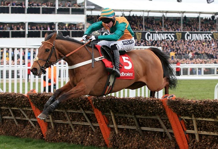 Cole primed to defend World Hurdle crown