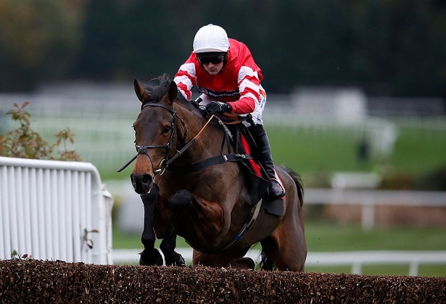 Nick Luck: Coneygree can grind his way to Betfair success