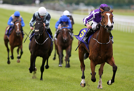 UK Horse Racing Tips: Curragh