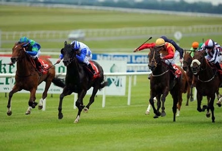 GYTO Saturday Notebook Double