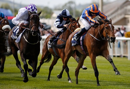 Money Horse: Sunday's Most Backed Horse