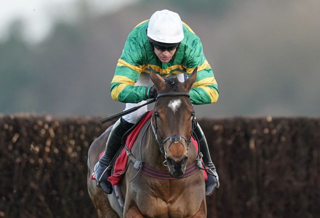 Money Horse: Sunday's Most Backed Horse
