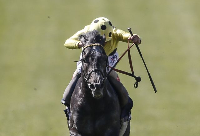 Andy Holding's Saturday Racing Tips