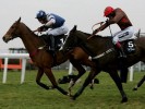 'Exciting' Boite could prove handicap blot