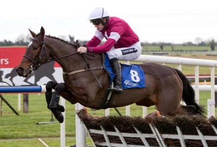 Cheltenham Festival: Triumph Hurdle Betting Tips & Preview