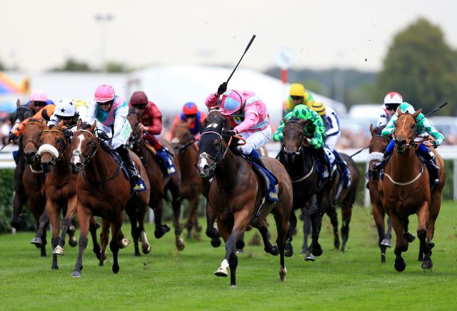 Money Horse: Friday's Most Backed Horse