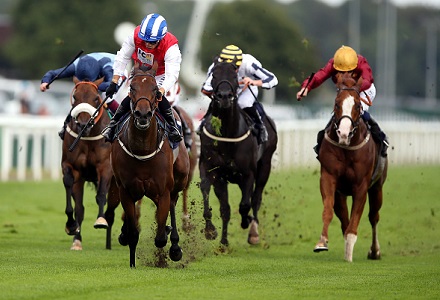 Sunday's Money Horse