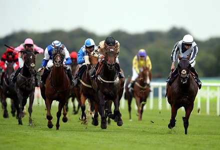 Money Horse: Thursday's Most Backed Horse