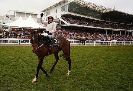 Douvan price crashes as Walsh chooses to ride former Cheltenham star