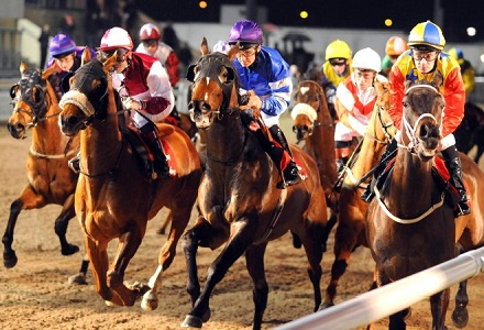 Andy Holding S Friday Racing Tips Oddschecker