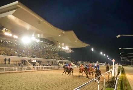 Andy Holding's Friday Horse Racing Tips