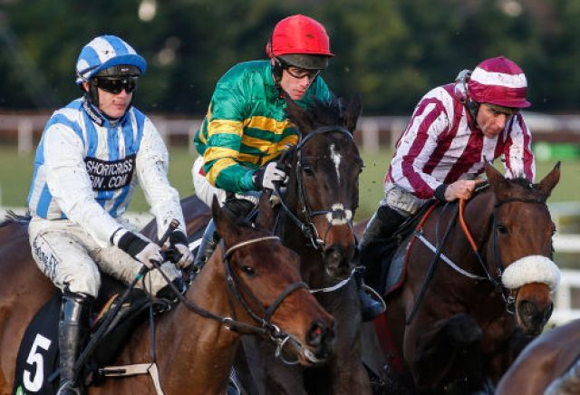 Irish Gold Cup hero Edwulf's Cheltenham target confirmed