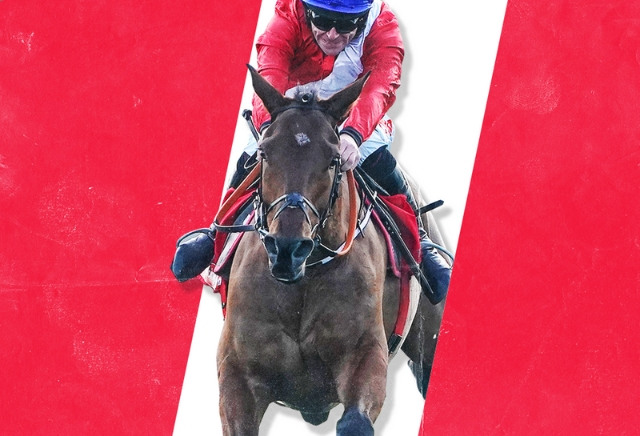 Cheltenham Marsh Novices' Chase 2021: Tips, Runners & Prediction