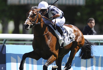 Nick Luck: Erupt can rise to King George challenge