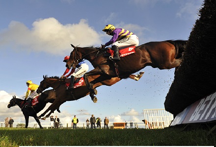 Money Horse: Friday's Most Backed Horse