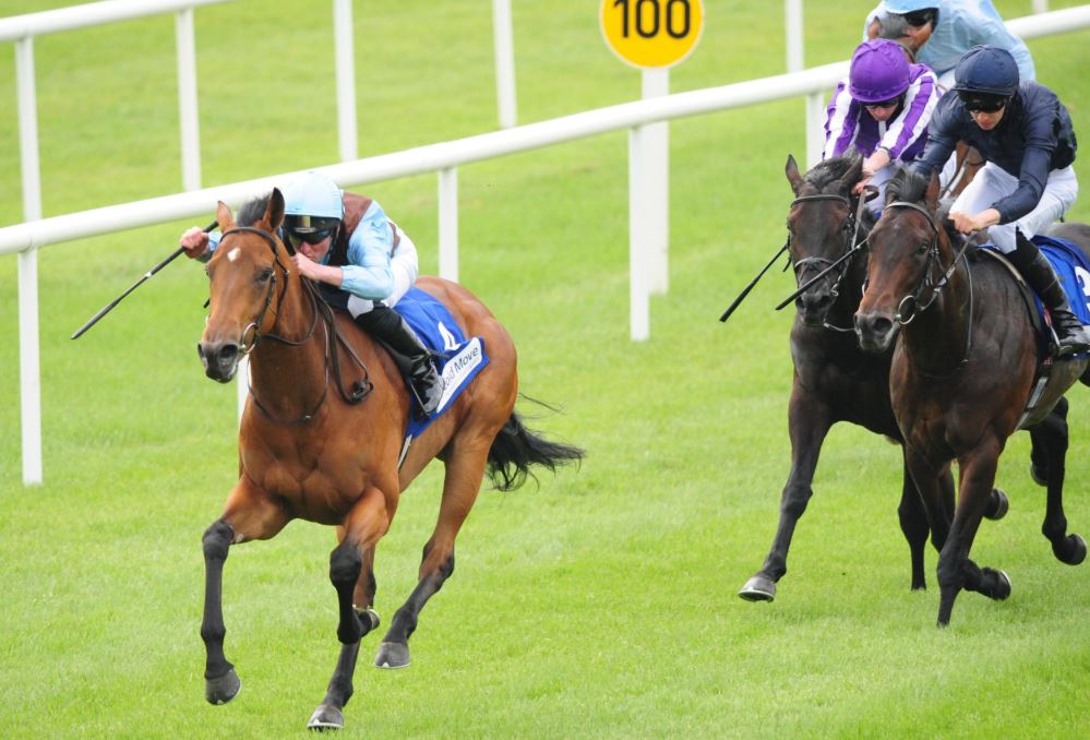 Andy Holding's Sunday Racing Tips