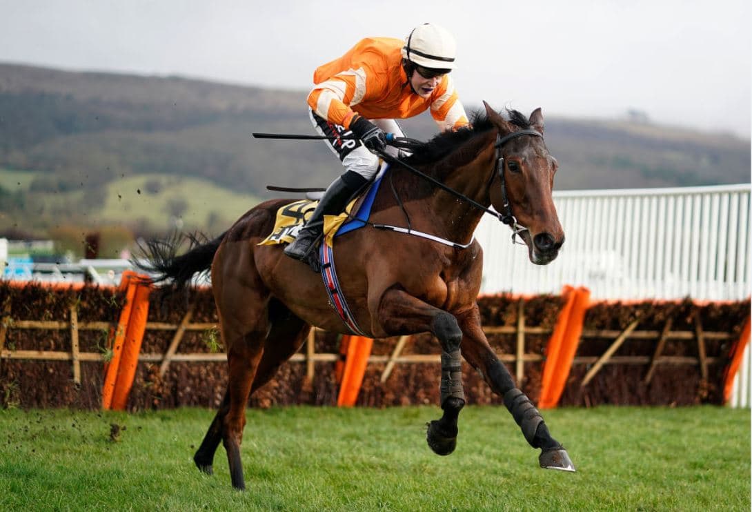 Irish-trained Fakir D'Oudairies on the cusp of a sensational Cheltenham U-turn