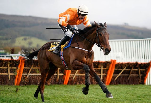 Andy Holding: Cheltenham Festival Clues from Trials Day 