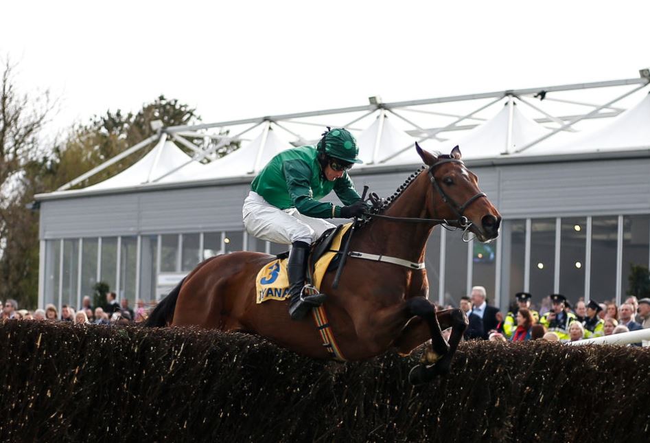 All change in the Champion Chase market as Ruby Walsh falls at the last