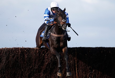 Cheltenham Festival Market Movers