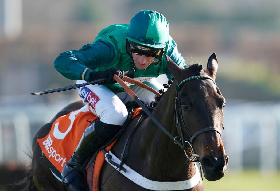 Fusil Raffles' odds crash for Cheltenham Triumph Hurdle after impressive Adonis Hurdle victory