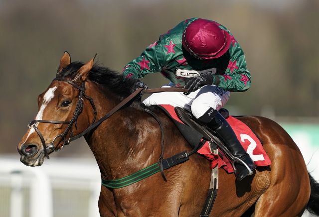Andy Holding's Cheltenham Festival Pointers