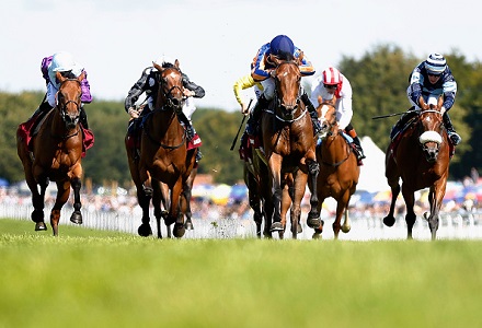 A View From The Rails: Step can reward shrewd Cumani