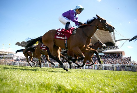 The three most backed horses at Goodwood Festival day five