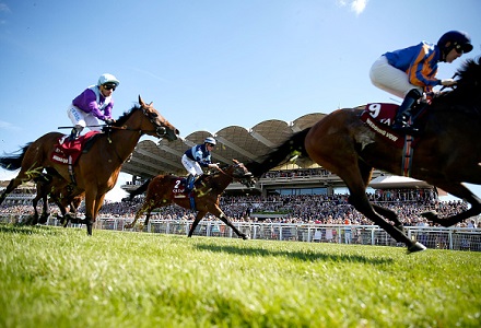 The three most backed horses at Goodwood Festival day four