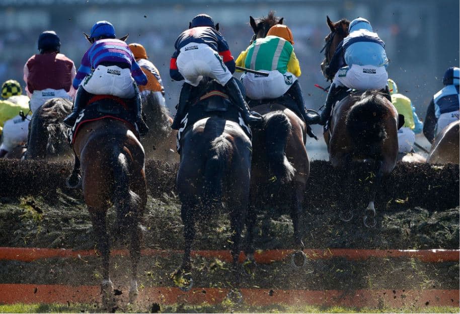 Want to know the winner of the Grand National - Ask your Grandma