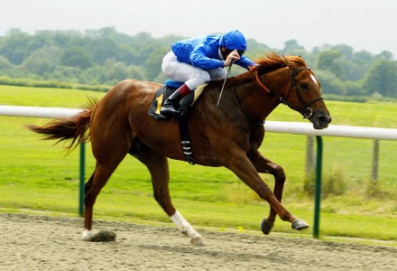 Tuesday US Racing Tips: Will Rogers Downs