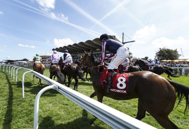 Goodwood Tips: Day Two Stats and Trends