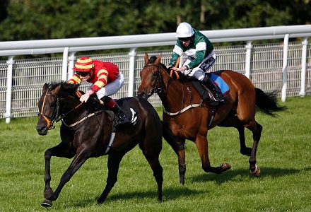 GYTO Saturday Value Tip