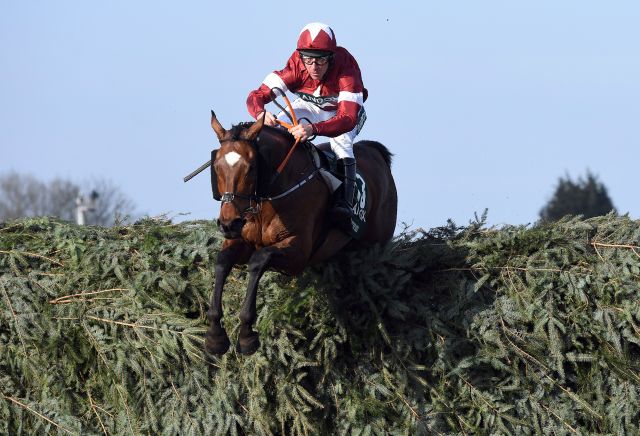 Tiger Roll Grand National odds HALVED following Cheltenham win