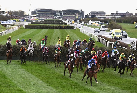 Odds cut in half for no Irish trained horses at Grand National due to Brexit