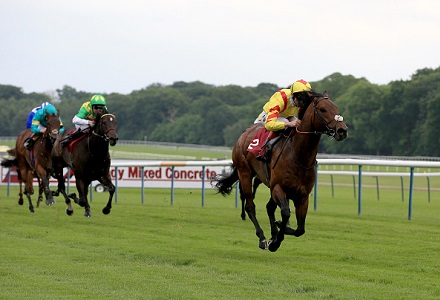 Andy Holding's Wednesday Horse Racing Tips