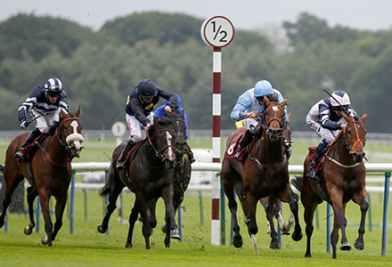 UK Horse Racing Tips: Haydock